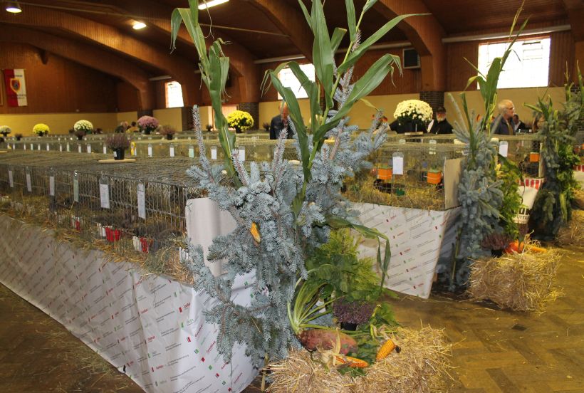 Geschmackvolle Ausschmückung der Gehege und der Ausstellungshalle